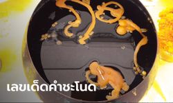 คำชะโนดคึกคักก่อนหวยออก คอหวยตะลึงส่องขันน้ำมนต์ ติดเลข 7 เกือบทุกขัน