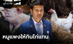 ส.ส.พลังประชารัฐ แนะหมูแพงให้กินไก่ ตรรกะง่ายๆ แก้เนื้อหมูราคาโหด