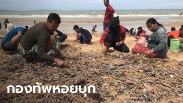 ชาวบ้านฮือแห่เก็บ "หอย" นับแสนตัวบุกเกยตื้นชายหาดจอมเทียน พัทยา