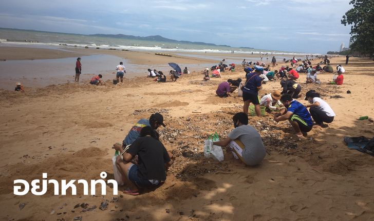 อ.ธรณ์ เบรกเอี๊ยด อย่ากินหอยเกยหาดจอมเทียน ไม่ต้องผวาสึนามิ-แผ่นดินไหว