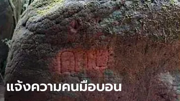 หัวหน้าอุทยานภูลังกา แจ้งความเอาผิดคนมือบอน ขีดเขียนหิน "ถ้ำนาคา"