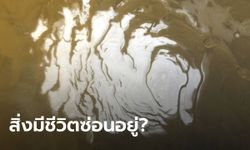 สัญญาณสิ่งมีชีวิต? นักวิทย์อิตาลีเชื่อมีแอ่งน้ำเค็มซ่อนใต้น้ำแข็งขั้วดาวอังคาร