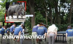 ญี่ปุ่นอาลัย "พลายอาทิตย์" ช้างไทยในสวนสัตว์อูเอโนะ ล้มแล้วหลังป่วยด้วยวัณโรค