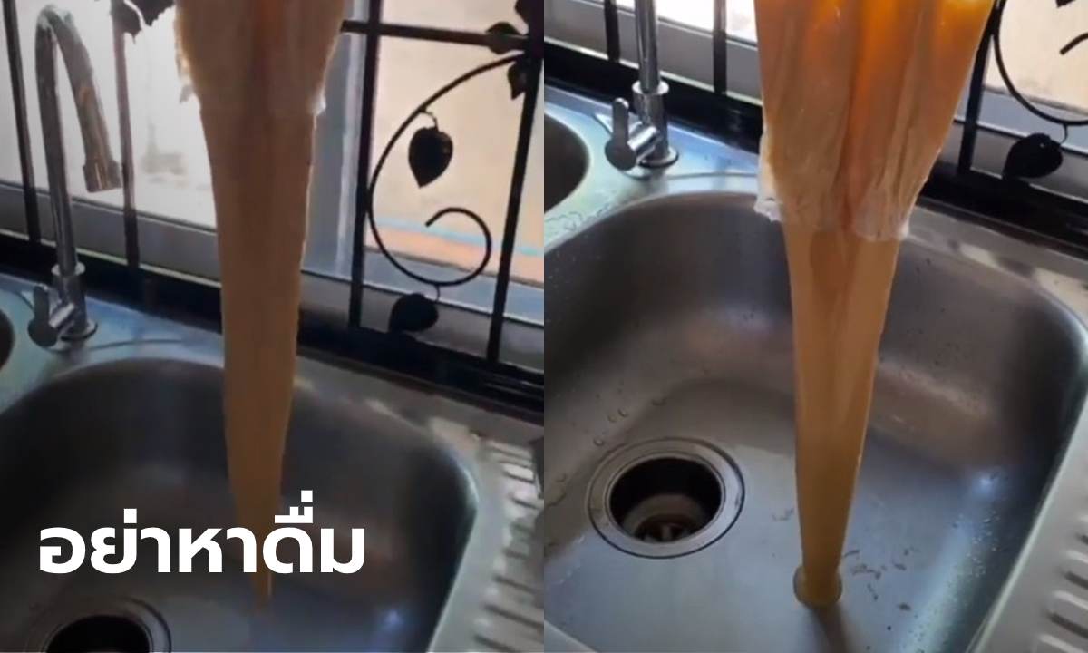 ผู้เชี่ยวชาญไขปริศนา "ชาไทยเด้งดึ๋ง" เชื้อจุลินทรีย์เปลี่ยนของเหลวให้ข้นหนืด
