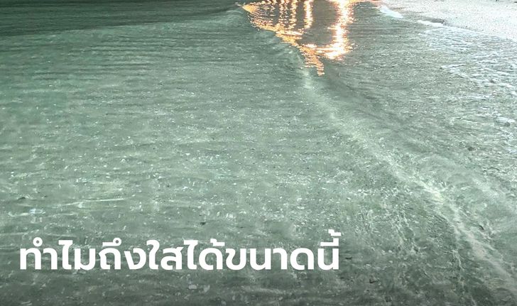 อ.เจษฎ์ ไขปริศนา "ทำไมทะเลหาดบางแสน ถึงน้ำใส ตอนหน้าหนาว"