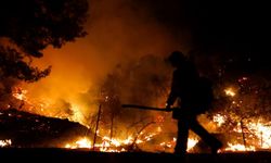 วิกฤตไฟป่าแคลิฟอร์เนีย เผาวอด 10 ล้านไร่ ดับแล้ว 31 ราย