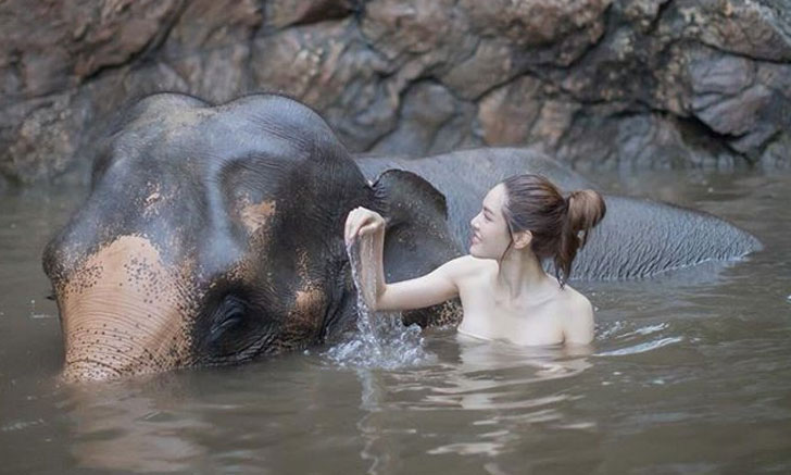 "เกรซ กาญจน์เกล้า" เผยภาพช็อตอาบน้ำให้ช้าง ทำชาวเน็ตโฟกัสจุดเดียวกัน