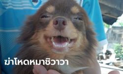 "เจ้าโกโก้" หมาชิวาวาหายจากบ้าน เจออีกทีเหลือแต่ซาก ถูกถลกหนัง-ตัดหัว-ตัดขา