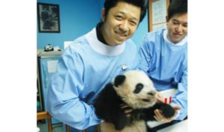 องค์การสวนสัตว์ จับมือ ทรู ดันกิจกรรมครอบครัวหมีแพนด้า