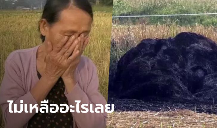 ชาวนาตายายร่ำไห้ คนใจร้ายจุดไฟเผาข้าวกว่า 2 ตัน ทำนามาทั้งปีเหลือแค่กองขี้เถ้า