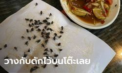 ลูกค้าสุดทน ร้านดังแมลงวันบินว่อน เอาที่ดักมาวางบนโต๊ะ ไม่มีแม้แต่คำขอโทษ