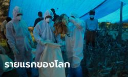 รัสเซียพบผู้ติดเชื้อ "ไข้หวัดนก H5N8" รายแรกของโลก ติดจากนกมาสู่คน