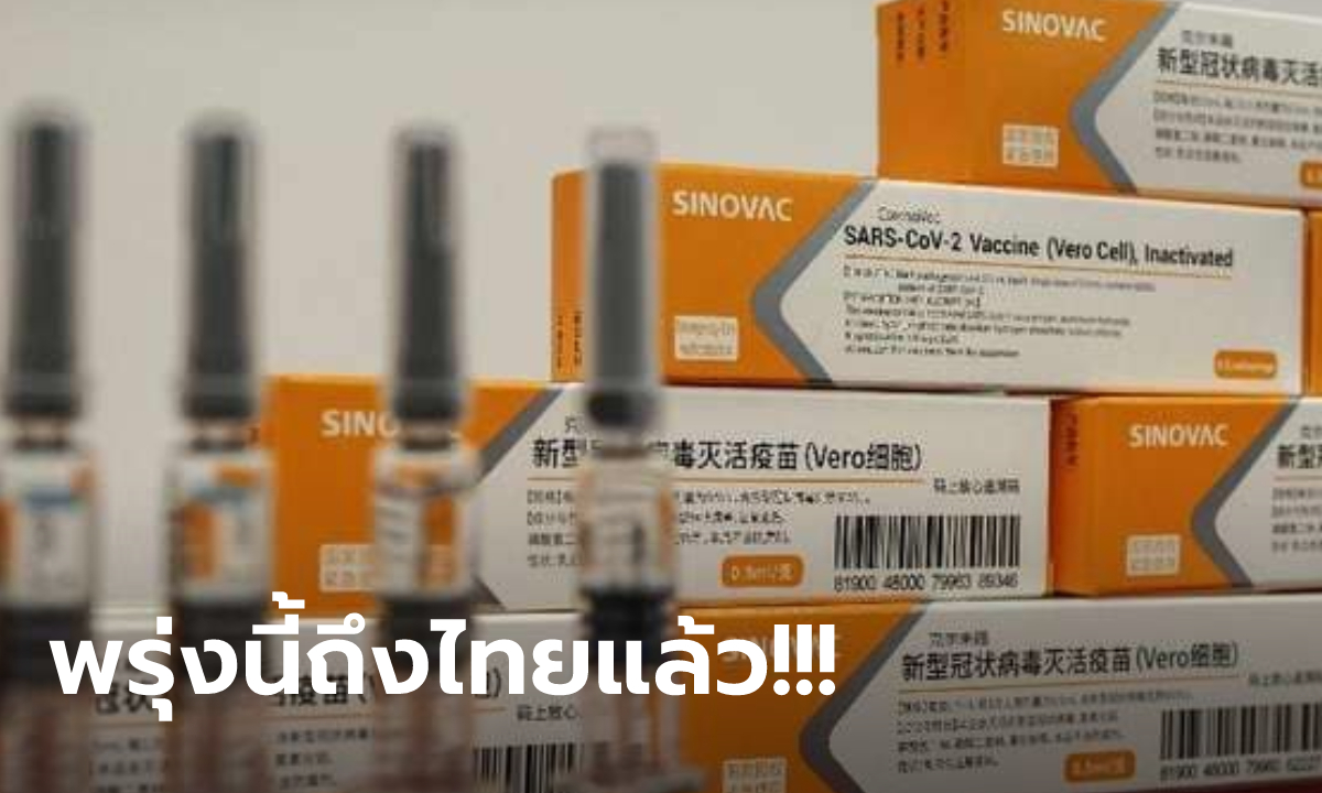 วัคซีนโควิดซิโนแวคขึ้นทะเบียนในไทยแล้ว! หมอยง เผยเหตุผลทำไมเหมาะฉีดวัย 18-59