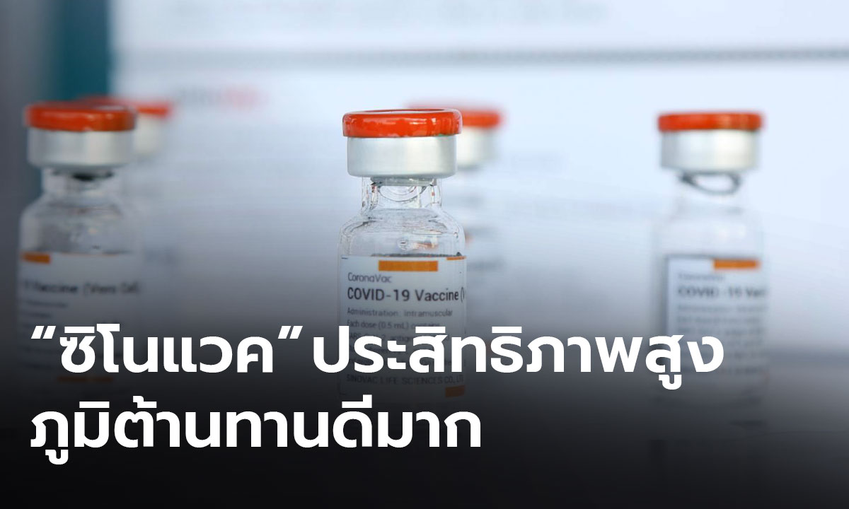 รัฐบาลชี้แจง "วัคซีนซิโนแวค" ประสิทธิภาพสูง ภูมิต้านทานดีมาก