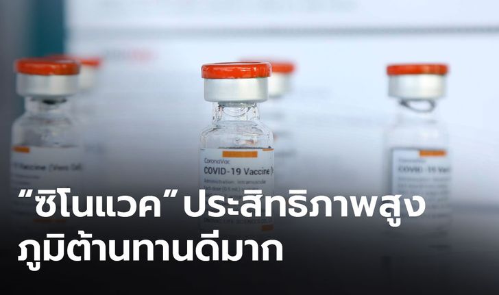 รัฐบาลชี้แจง "วัคซีนซิโนแวค" ประสิทธิภาพสูง ภูมิต้านทานดีมาก