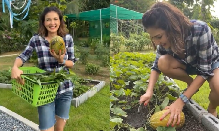 "แอน สิเรียม" เก็บแตงไทยในสวนผักปลูกเอง มุมโปรดในบ้านหรูผลผลิตเยอะมาก