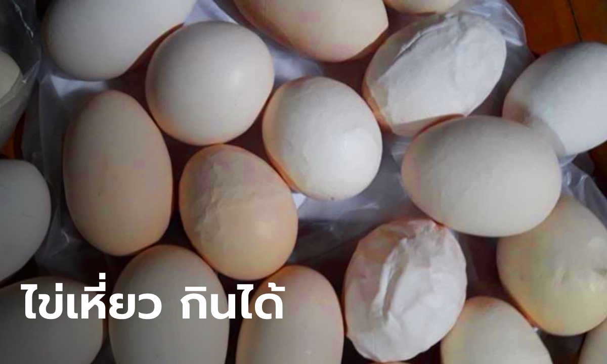 สาวงง! โพสต์ถาม ซื้อไข่ไก่ตอนเช้า ตกเย็นไข่เหี่ยวย่นจนไม่กล้ากิน