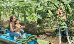 "เนย โชติกา" พาไปชมสวนผักที่ปลูกไว้ให้ลูก ออกผลผลิตเยอะร่มรื่นมาก