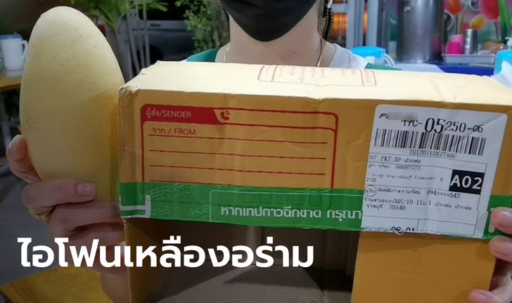 สาวส่ง iPhone รวม 8 เครื่อง ถึงปลายทางได้มะม่วงแทน เช็กพิกัดพบถูกแกะกลางทาง