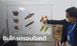 ทำความรู้จัก "แสงซินโครตรอน" เทคโนโลยีไขคดี "น้องชมพู่" วิเคราะห์หลักฐานเส้นขน