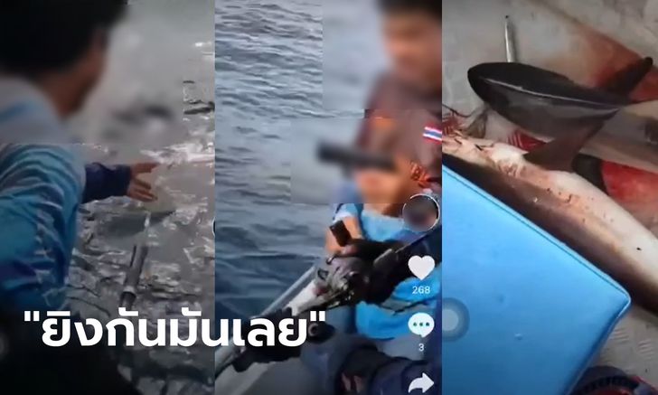 คลิปสะเทือนใจ แก๊งตกปลายิงปืนใส่ฝูงฉลาม ลากขึ้นเรือ 3 ตัว ตำรวจน้ำกระบี่เร่งล่า
