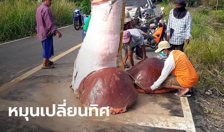 รัดพลาสติกยืดอายุ "ศิวลึงค์" หมุนเปลี่ยนทิศให้ขวางแสงตะวัน หลังฝนตกไม่พอให้เพาะปลูก