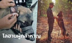 ปะทะเดือดสายบุรี "โลฮาน" สุนัขทหาร ช่วยชีวิตเจ้าหน้าที่ ถูกยิงบาดเจ็บแต่ไม่ร้องสักแอะ