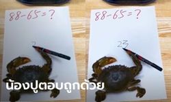 ปังมาก โพสต์คลิปขำๆ ปูเขียนเลขลงกระดาษ คนแห่ตีหวย ยอดวิวทะลุ 5.5 ล้าน