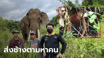 ช้างเพื่อนแก้ว ออกดมกลิ่นจนพบตัวลุงวัย 58 หลงป่านาน 16 วัน รอดปาฏิหาริย์