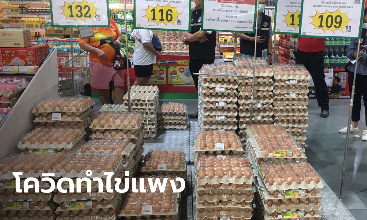 สำรวจตลาดราคาไข่ไก่พุ่งสูง เหตุจากพิษโควิด จังหวัดสีแดงเข้มรับผลกระทบจากการขนส่ง