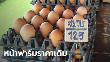 ไข่แพง! ฟาร์มไก่ยันขายไข่หน้าฟาร์มราคาเดิม ชี้พ่อค้าโก่งขายกันที่ปลายทาง