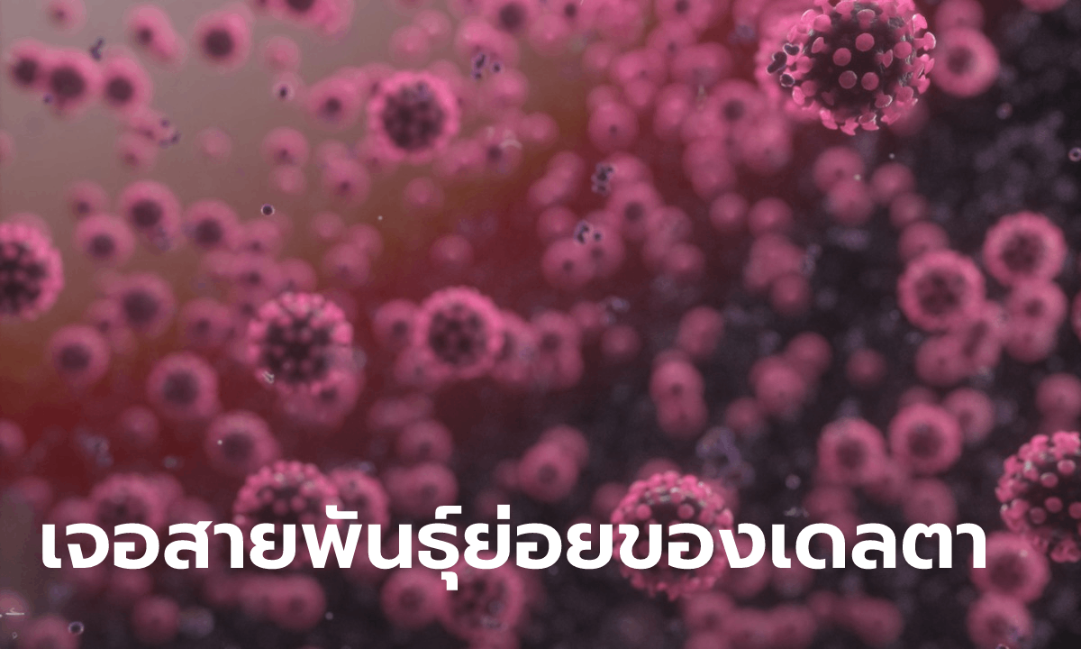 สธ.เผย 8 จังหวัดพบไวรัสโควิดกลายพันธุ์ 4 ตัว! เป็นลูกหลานของเดลตาที่ระบาดในไทย
