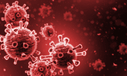 องค์การอนามัยโลก ยืนยันไวรัสโควิดสายพันธุ์ C.1.2 ยังไม่แพร่ระบาด จับตาอย่างใกล้ชิด
