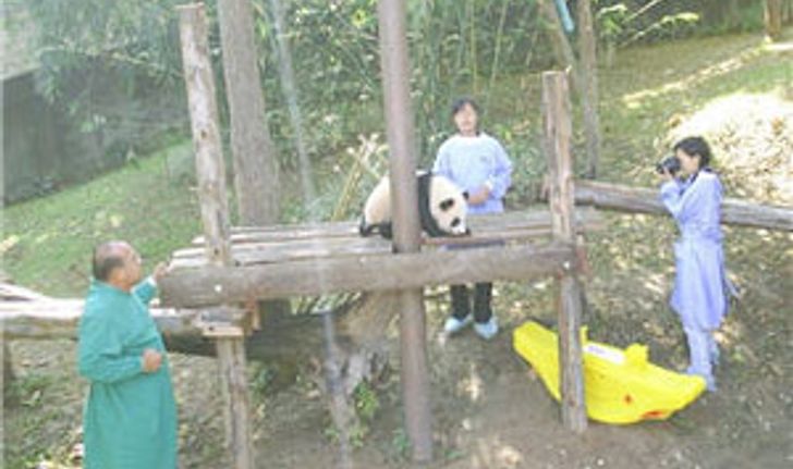 เตรียมเจรจาจีนขอยืดเวลาอีก 2 ปี หลินปิงอยู่ไทย