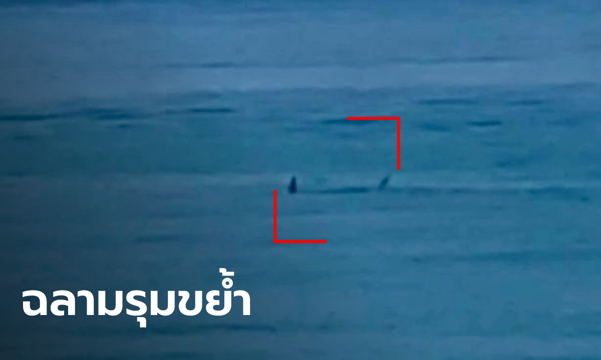 ชายวัย 57 ถูกฉลามลากลงไปขย้ำในน้ำ เสียชีวิตสลด พยานให้การเห็นฉลาม 2 ตัว