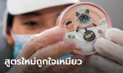 ทาสพร้อมเปย์มั้ย? อาหารแมวจาก "หนอนไหม" เมนูใหม่ที่ไต้หวัน