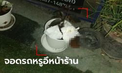 หนุ่มร้านกาแฟโกรธสุด โพสต์ตามล่าชายแต่งตัวดี จอดรถหรูลงมาอุจจาระหน้าร้าน