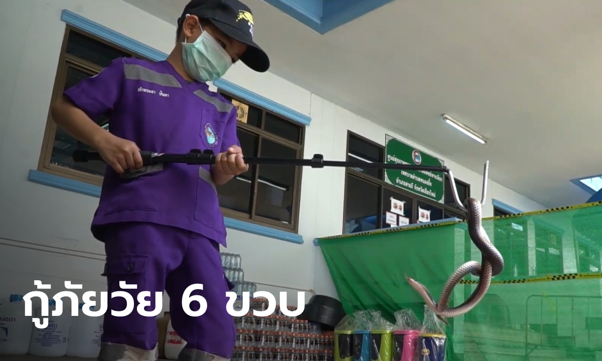 สุดทึ่ง "น้องบุญ" กู้ภัยจิ๋ววัย 6 ขวบ จับงูด้วยมือเปล่า ทำ CPR ช่วยชีวิตคนก็ได้