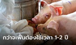 สมาคมผู้เลี้ยงหมู จวกรัฐบาล! แก้ปัญหาราคาแพงผิดจุด เชื่อ 4 เดือนยังไม่ปกติ