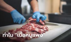 มูลนิธิเพื่อผู้บริโภค-ไบโอไทย ชี้เหตุ "หมูแพง" เพราะการรวมศูนย์ผลิต-ปิดข่าวโรคระบาด