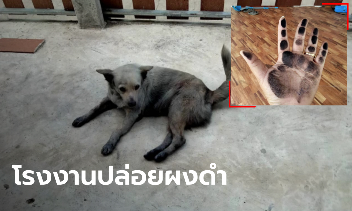 ดำยันหมา! โรงงานดังปล่อยผงคาร์บอน ชาวบ้านลั่นอยากตรวจปอด ไม่เอาถุงยังชีพ