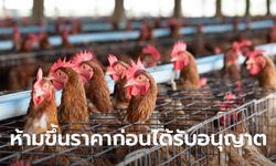 พาณิชย์ มีมติให้ “ไก่-เนื้อไก่” เป็นสินค้าควบคุม เบรกขึ้นราคาเครื่องใช้ไฟฟ้า