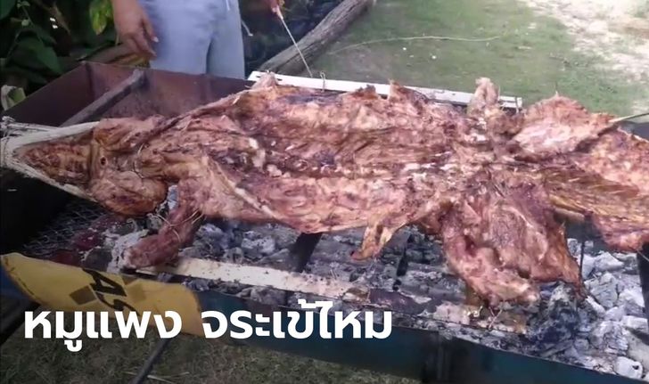 เนื้อหมูแพง ชาวบ้านจึงหันมากินเนื้อทางเลือกแทน