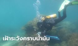 ทช. ตรวจชายหาดระยอง ไม่พบคราบน้ำมัน ปะการัง หญ้าทะเล ยังปกติ