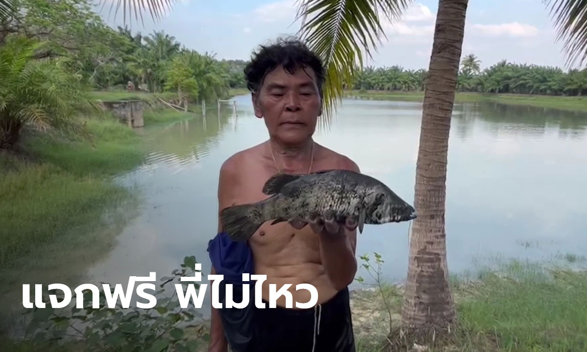 แจกฟรี พี่ไม่ไหว! เจ้าของบ่อปลา เจอพิษเศรษฐกิจ ยกปลาในบ่อให้ชาวบ้านฟรีๆ(มีคลิป)