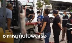 เปิดผลพิสูจน์ รอยแผลที่ขา "แตงโม" ใช้ซากหมูทดลองการถูกใบพัดเรือบาด