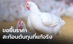 ผู้เลี้ยงไก่ขอปรับขึ้นราคาขาย หลังอาหารสัตว์ และน้ำมันแพงขึ้น