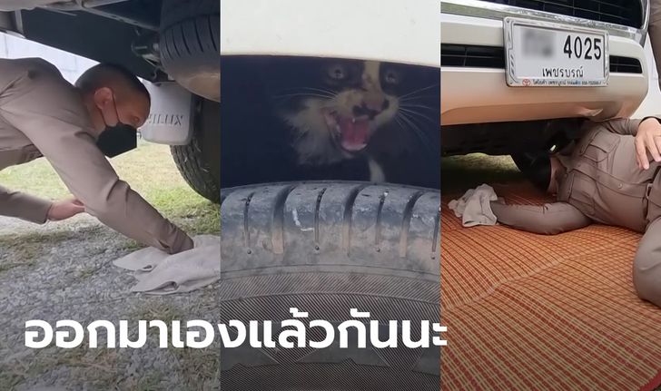 ตำรวจด่านซ้าย รุดจับกุมลูกแมวจอมซน ซ่อนในกระบะชาวบ้าน แต่หนีเก่งจนยอมแพ้