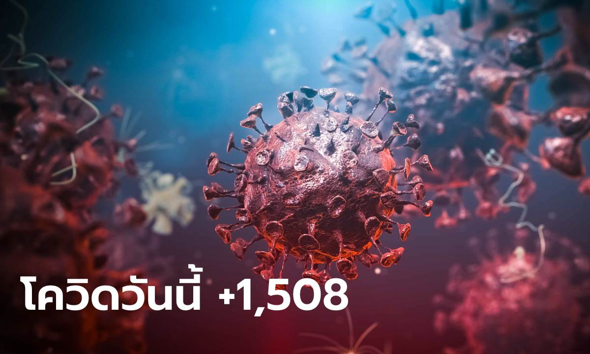 โควิดวันนี้ ไทยมีผู้ป่วยรายใหม่ รักษาตัวใน รพ. 1,508 ราย เสียชีวิตอีก 29 ราย