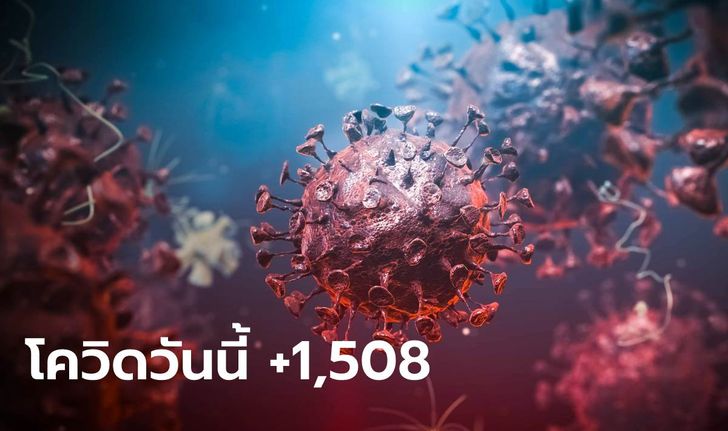 โควิดวันนี้ ไทยมีผู้ป่วยรายใหม่ รักษาตัวใน รพ. 1,508 ราย เสียชีวิตอีก 29 ราย